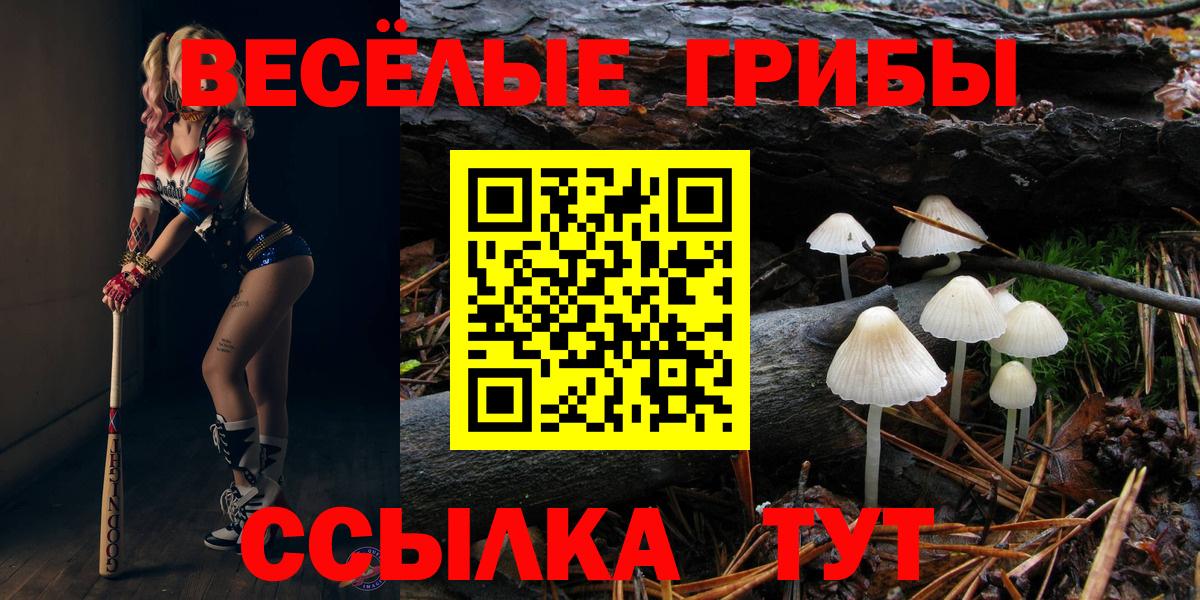 Псилоцибиновые грибы Magic Shrooms  сколько стоит  Нарткала  Вход с VPN 