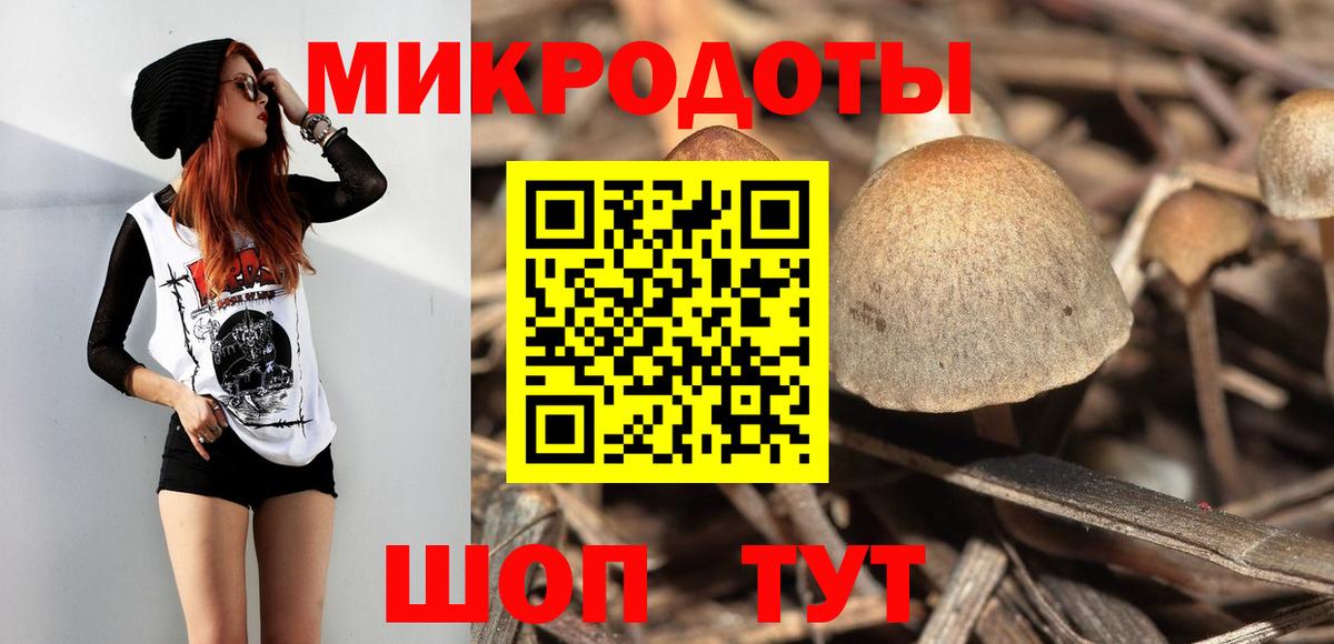 Псилоцибиновые грибы прущие грибы Нарткала